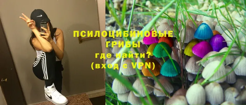 Галлюциногенные грибы Cubensis  наркотики  Болгар 